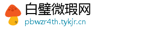 白璧微瑕网